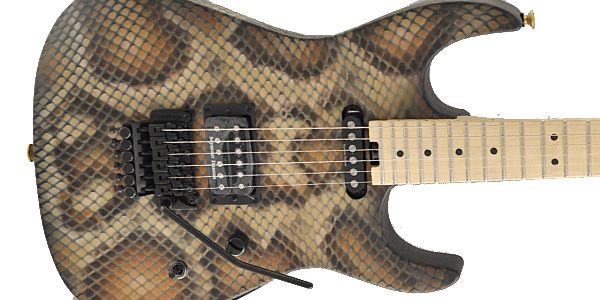 CHARVEL / Warren DeMartini Signature Snake 画像2
