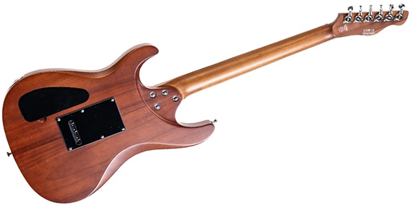 Chapman Guitars / SCOUT TRADITIONAL WILDWOOD画像3