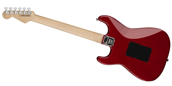 CHARVEL / 296-6034-515画像2