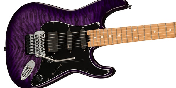 CHARVEL / 296-6036-592画像3