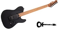 CHARVEL PRO-MOD SO-CAL STYLE 2 24 HH 2PT CM ASH Black Ash