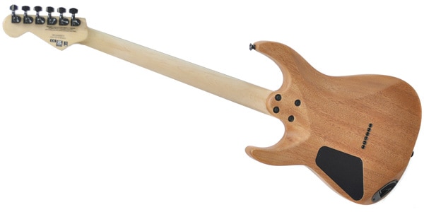 CHARVEL / Pro-Mod DK24 HH HT E Mahogany w/Poplar Burl Desert Sand画像4