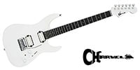 CHARVEL / Pro-Mod Plus DK24 HH 2PT EB Ebony FB Celestial Silk
