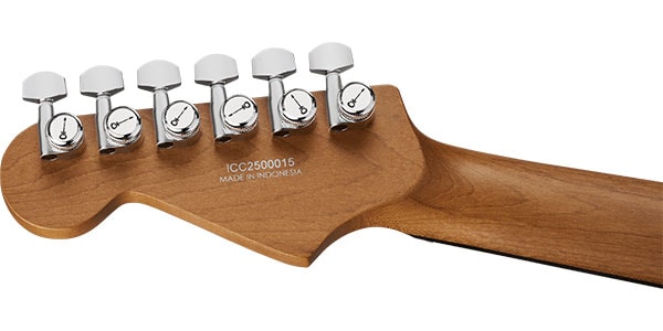 CHARVEL ( シャーベル )  / Pro-Mod Plus DK24 HH 2PT EB Ebony FB Celestial Silk画像6