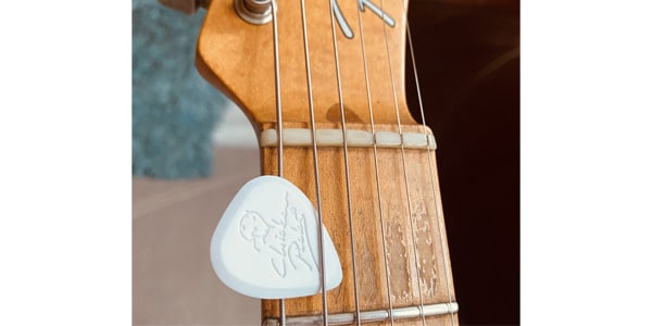 Chicken Picks / Shredder 2.4mm 【1-SH-24】画像3