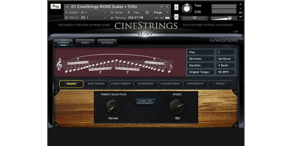 Cinesamples / CineStrings RUNS download delivery画像2