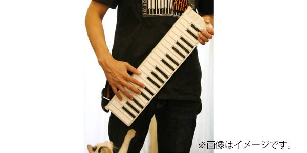 CME / Xclip 画像4
