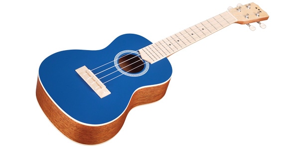 CORDOBA / 15CM Matiz CLASSIC BLUE画像2