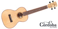 CORDOBA 24T SPRUCE