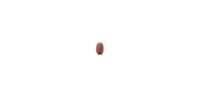 COUNTRYMAN E6 Windscreen Cocoa