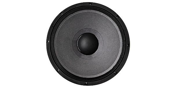 クラシックプロ 8インチ ミッドウーハー CPW8II | gulatilaw.com