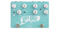Crazy Tube Circuits / White Whale V2