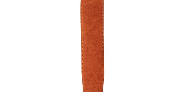 DADDARIO / 25SS02-DX SUEDE GUITAR STRAP画像2