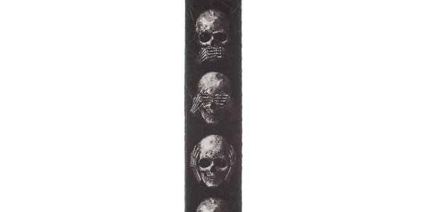 DADDARIO / 50AL01画像2