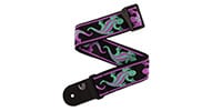DADDARIO / VINTAGE PLANET WAVES LIZ G P