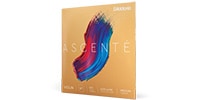 DADDARIO / A313 4/4M Ascente バイオリン弦 D線 Medium