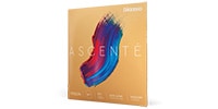 DADDARIO / A314 4/4M Ascente バイオリン弦 G線 Medium