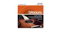 DADDARIO EFT13 Flat Top Phosphor Bronze Wound Resophonic Guitar / Med