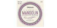 DADDARIO EJ70 Mandolin Phosphor Bronze Medium/Light Ball End 11-38