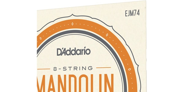 DADDARIO / EJM74画像4