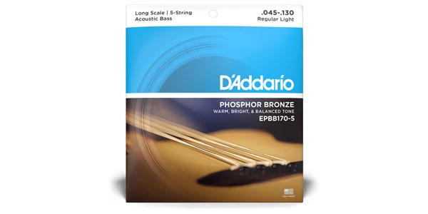 DADDARIO/EPBB170-5 Phosphor Bronze Acoustic Bass 45-125