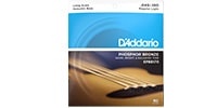 DADDARIO EPBB170 Phosphor Bronze Acoustic Bass 45-100