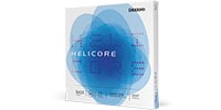 DADDARIO / HH613 3/4L