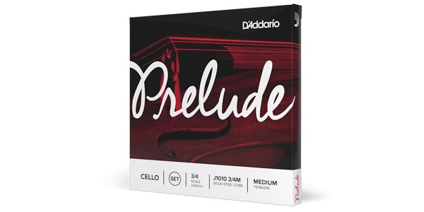 DADDARIO / J1013 3/4M