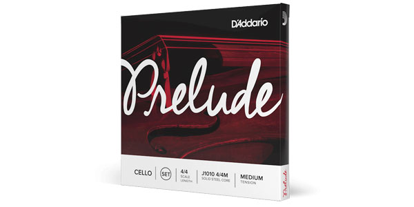 DADDARIO / J1013 4/4M