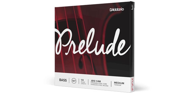 DADDARIO / J613 1/4M