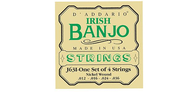 DADDARIO/EJ63I 4-String Irish Tenor Banjo, Nickel, 12-36