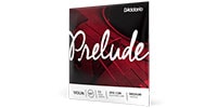 DADDARIO / J813 1/2M Prelude バイオリン弦 D線 Medium