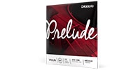 DADDARIO / J813 1/8M Prelude バイオリン弦 D線 Medium
