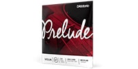 DADDARIO / J813 3/4M Prelude バイオリン弦 D線 Medium