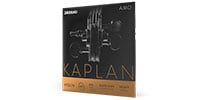 DADDARIO / KA310 4/4H