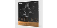 DADDARIO / KA310 4/4L
