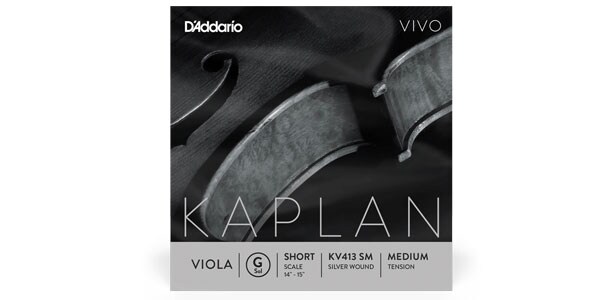 DADDARIO / KV413 SM