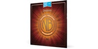 DADDARIO NBM1038 Nickel Bronze Light