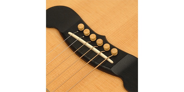 DADDARIO ( ダダリオ )  / PWPS6 Wood Bridge Pin Boxwood画像2