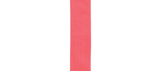DADDARIO ( ダダリオ )  / PWSUKE301 POLYPROPYLENE UKULELE STRAP Red画像2