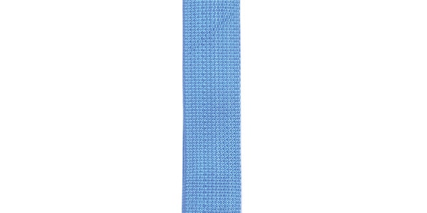 DADDARIO ( ダダリオ )  / PWSUKE302 POLYPROPYLENE UKULELE STRAP Blue画像2