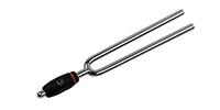 DADDARIO / TUNING FORKS Aキー (440Hz)[PWTF-A]