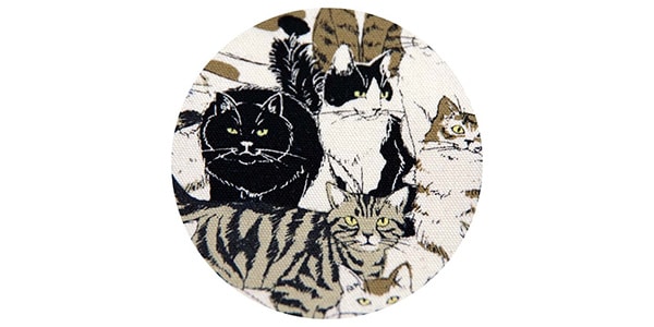 Daiking Corporation / Crowded With Cats画像2