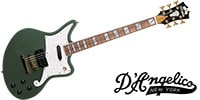 D'Angelico / Deluxe Bedford, Hunter Green with PauFerro