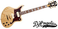  Deluxe Bedford Swamp Ash P-90s