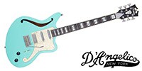 D’Angelico Deluxe Bedford SH Limited Edition Matte Surf Green