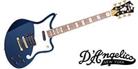 D'Angelico / Deluxe Bedford Chameleon