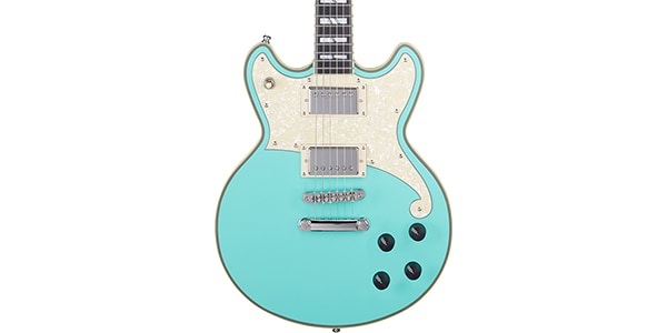 D&#39;Angelico / Deluxe Brighton Limited Edition Matte Surf Green画像3