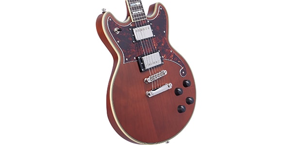 D&#39;Angelico ( ディアンジェリコ )  / Deluxe Brighton Matte Walnut画像4