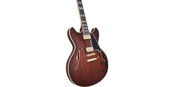 D&#39;Angelico / Deluxe DC Satin Brown Burst画像3